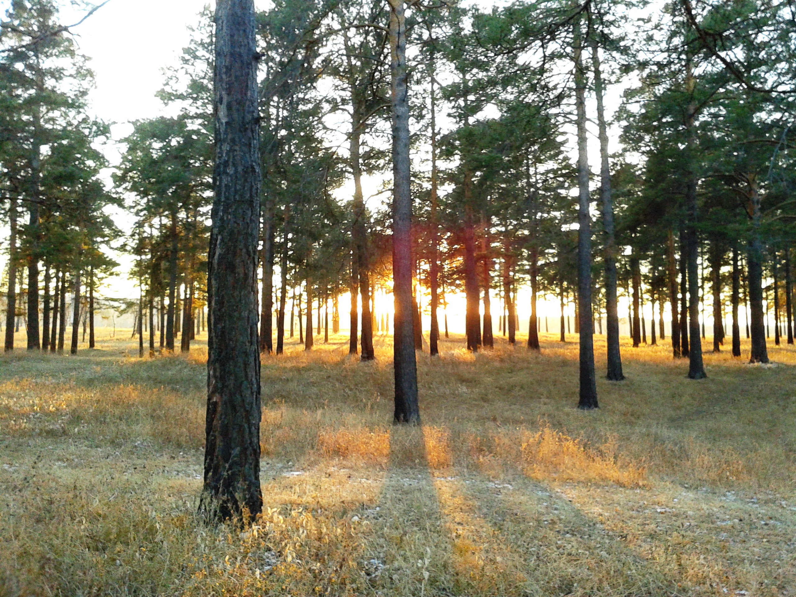 Вечернее солнце