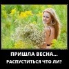 Пришла весна