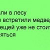 Встреча с медведем