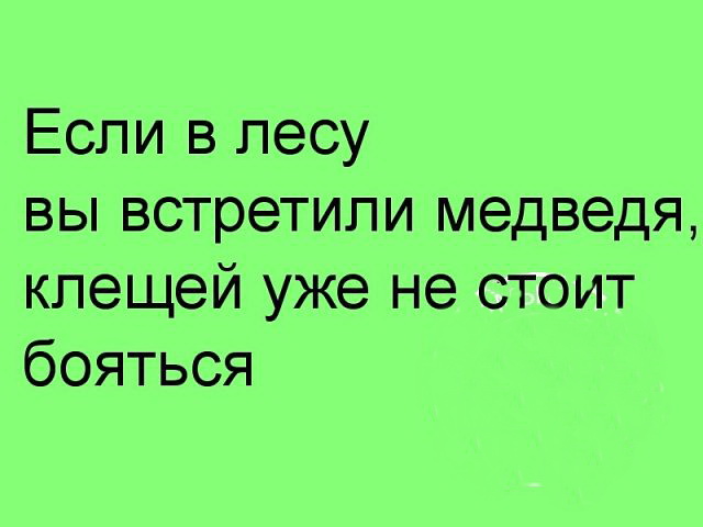 Встреча с медведем