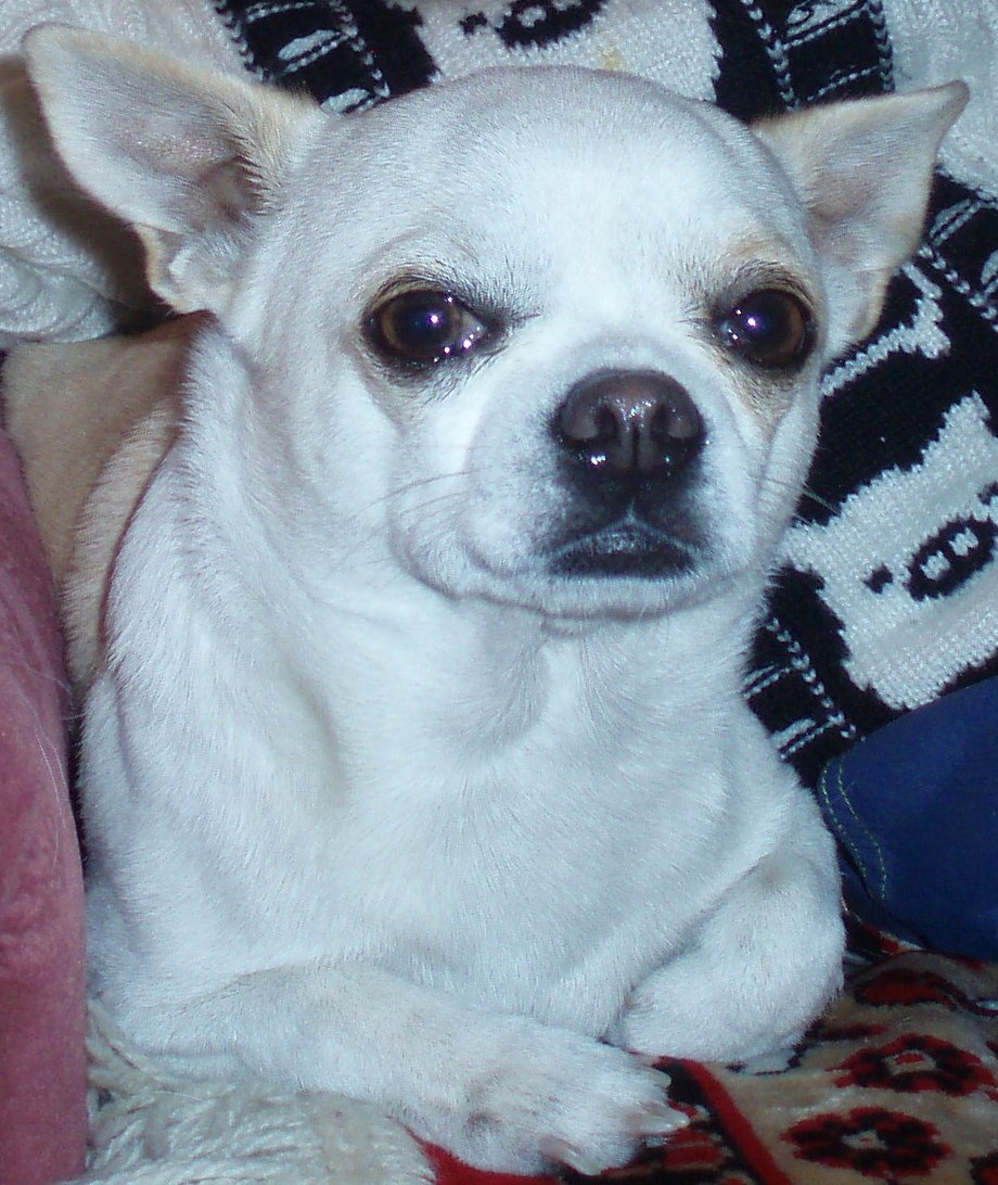 Боня.мальчик