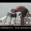 Настойчивость