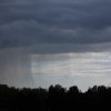 DSCN8692