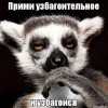 брими узбагоительное)))))) брими узбагоительное))))))