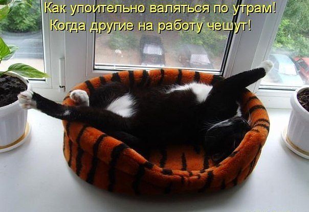 Котэ
