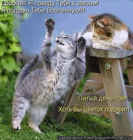 Котэ2