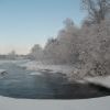 Зимняя Еловка