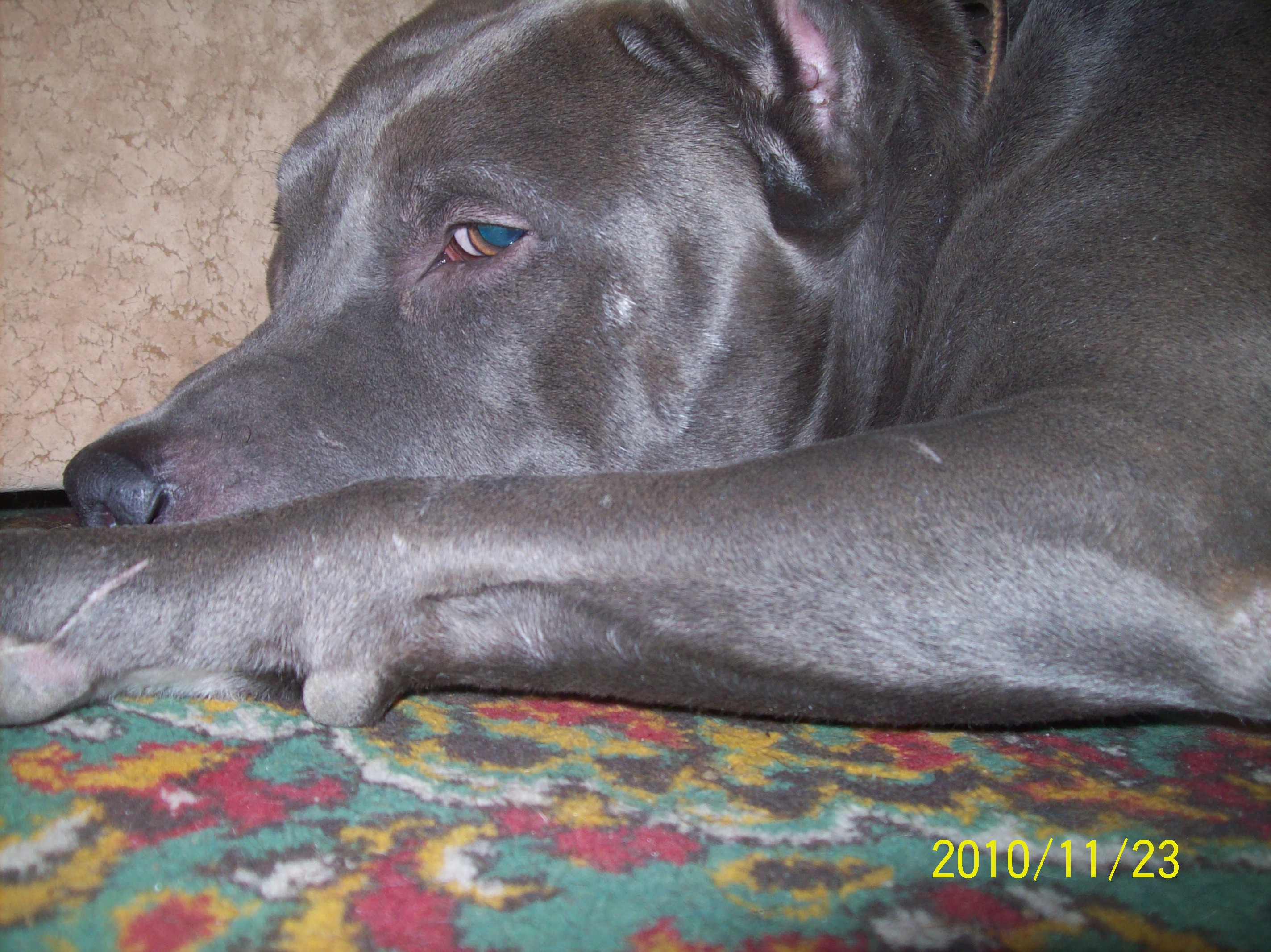 подножка-убийца