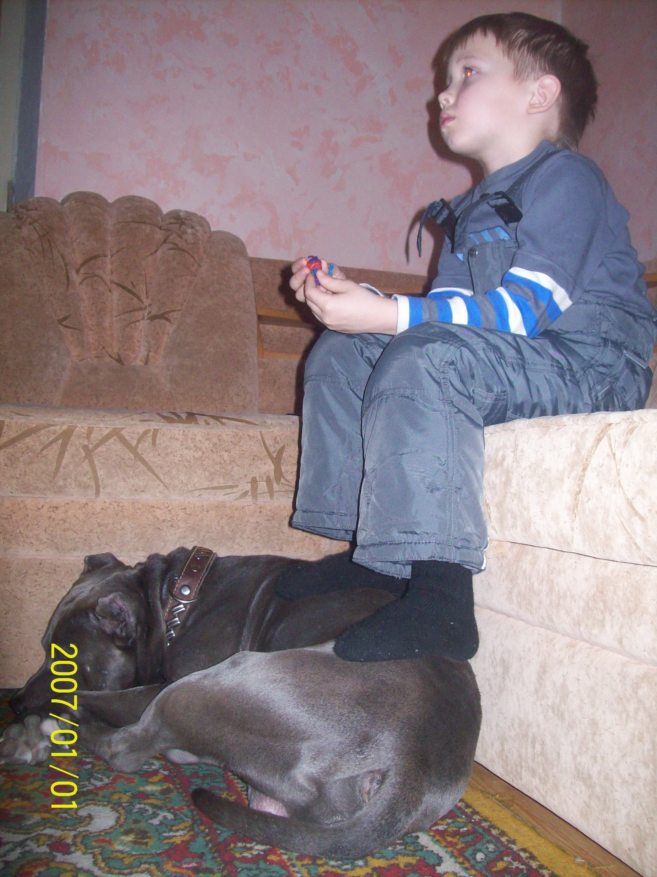 люди! верьте СМИ. собака-убмйца