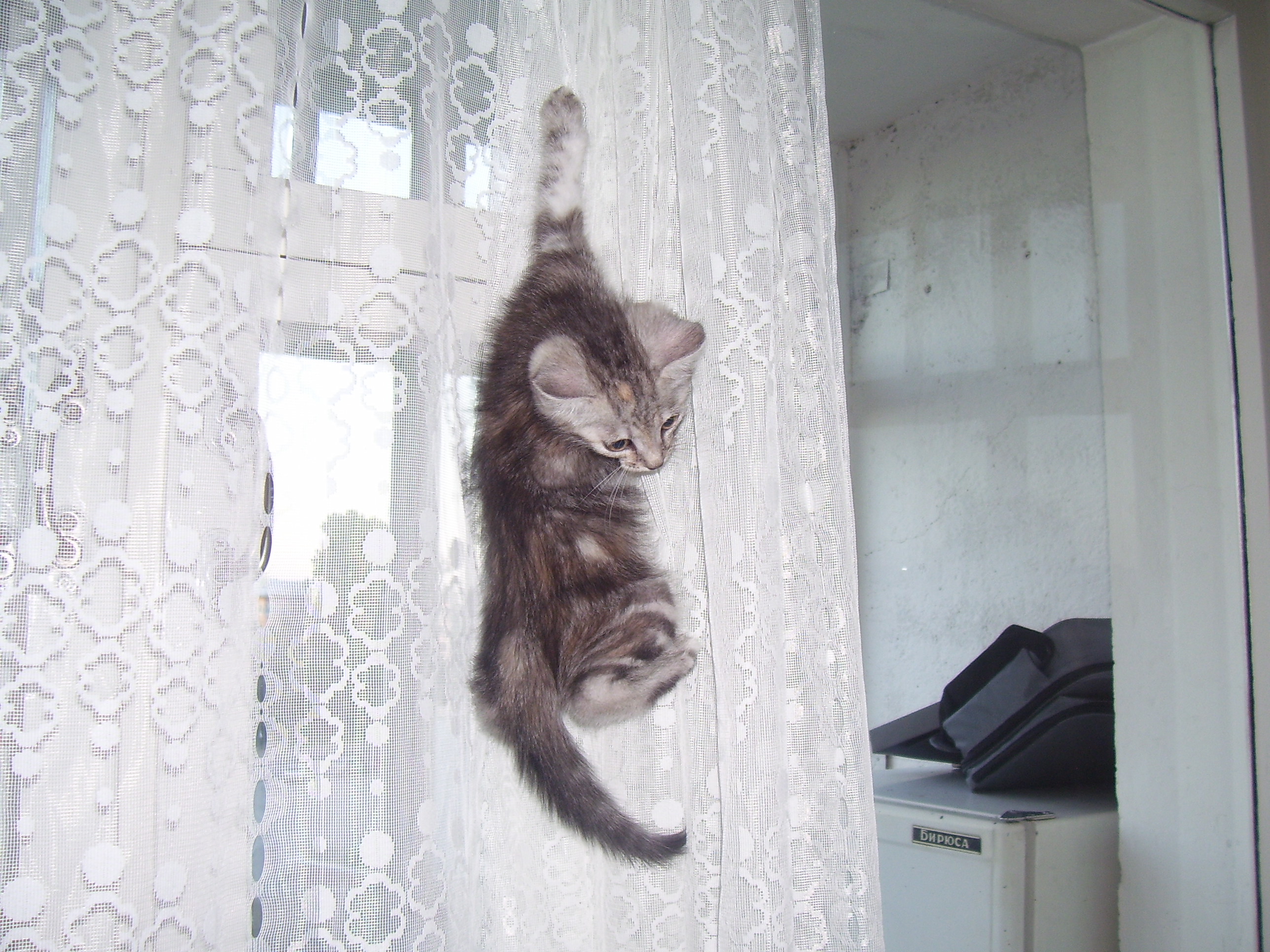 Шторный фриклайминг))