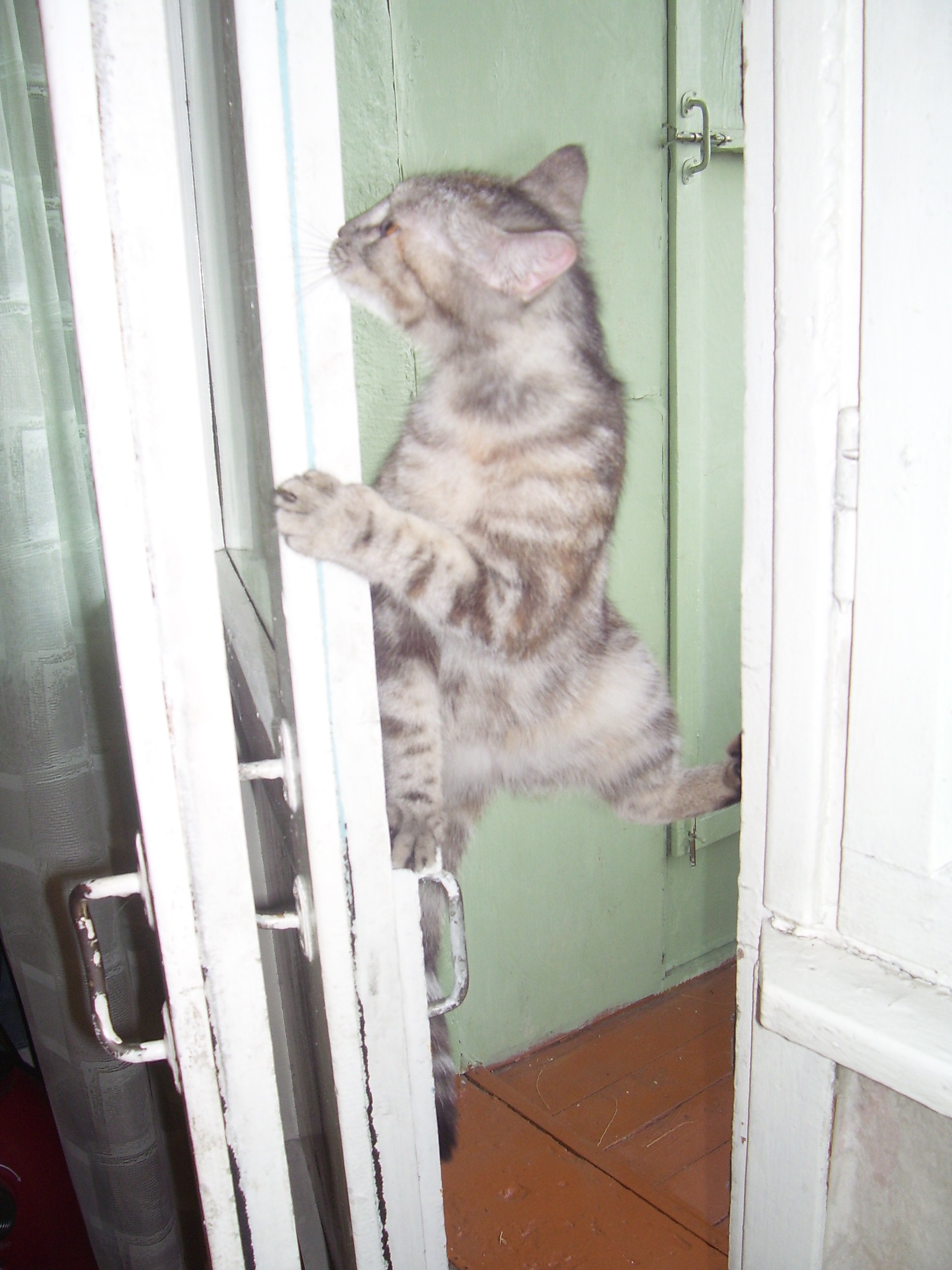 Фриклайминг))