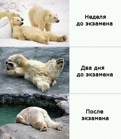 До экзамена