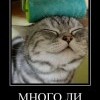 Много ли... Много ли...
