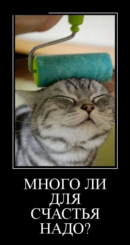 Много ли...