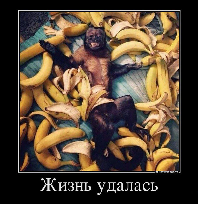 Жизнь, удалась