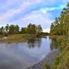 Осень Осень
