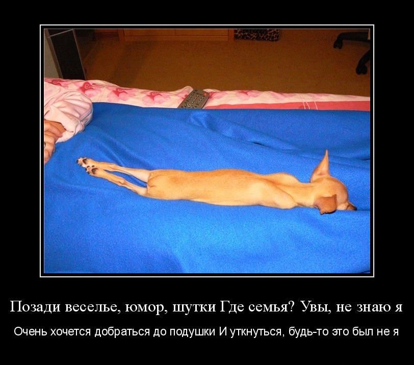 Позади веселье,юмор,шутки