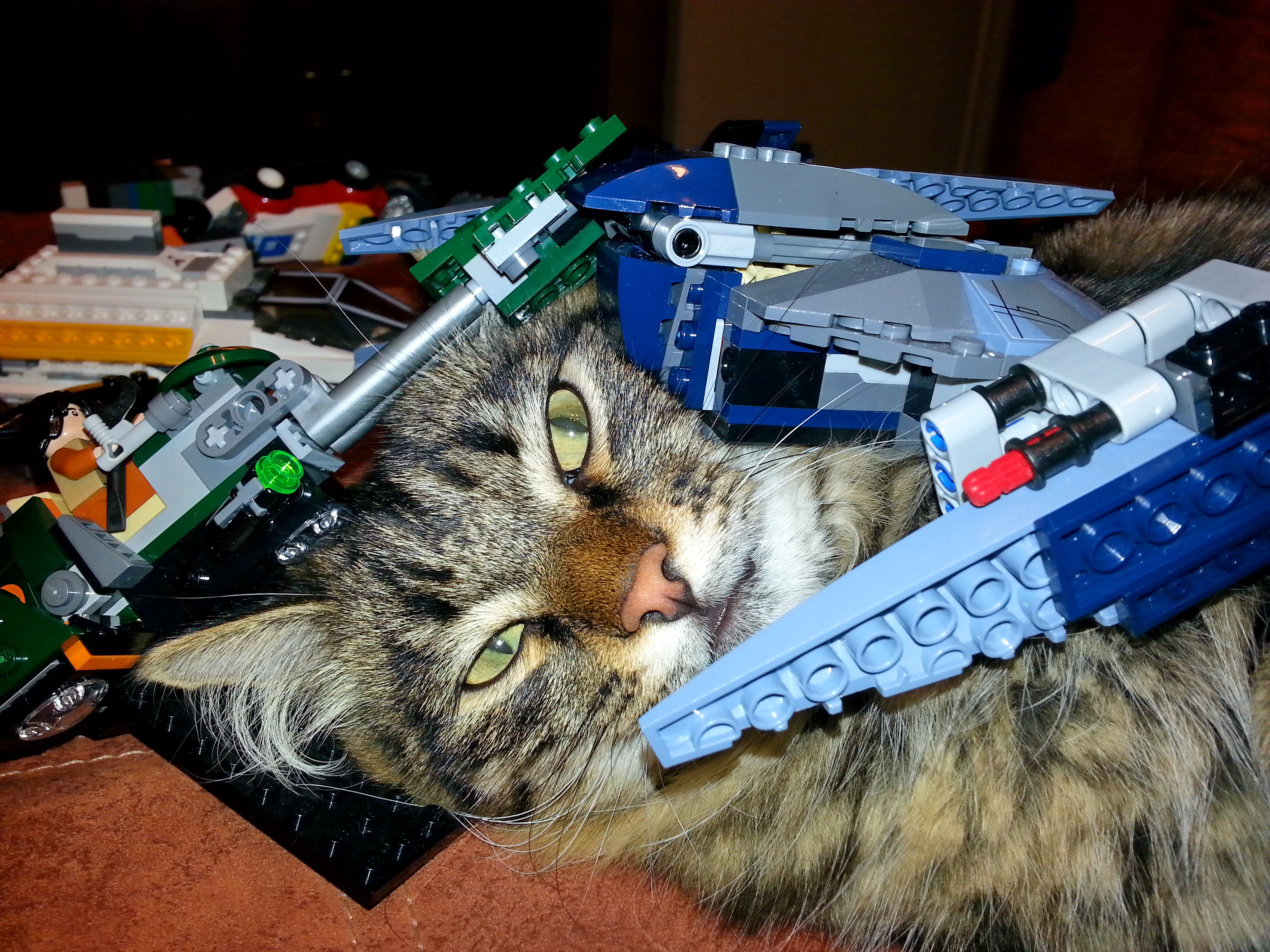 легоПушог)))))