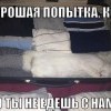 Хорошая попытка, кот