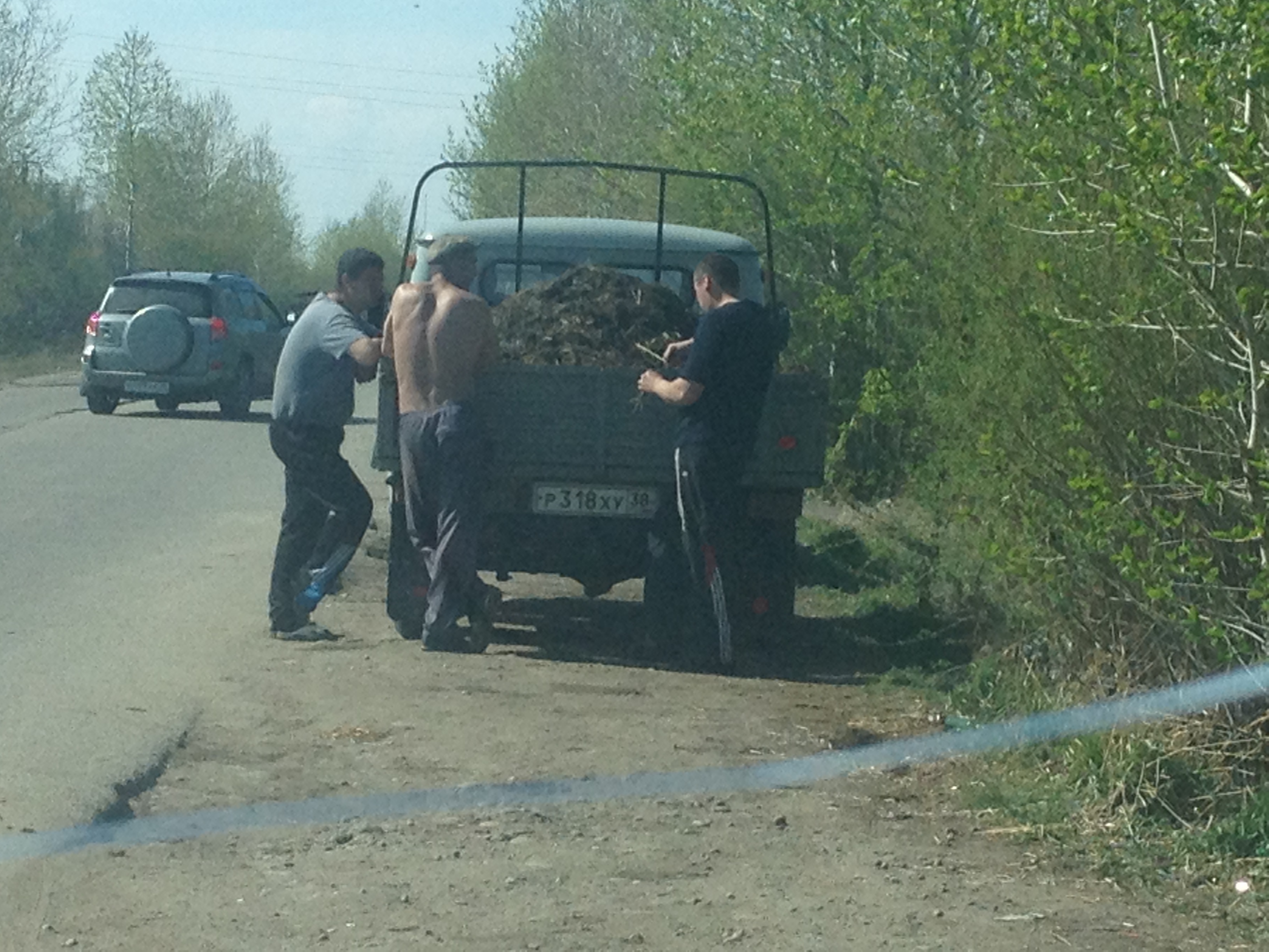 ядрёный навоз