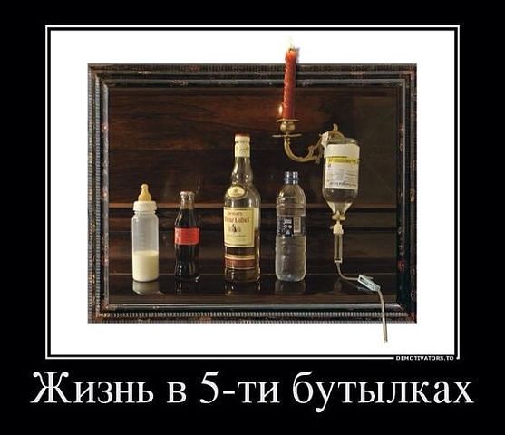 жизнь в пяти бутылках 