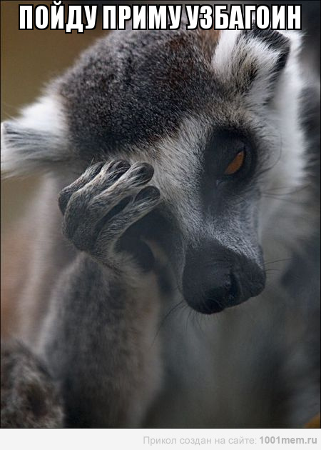 пайду бриму узбагоин)))))