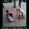 Ответственность