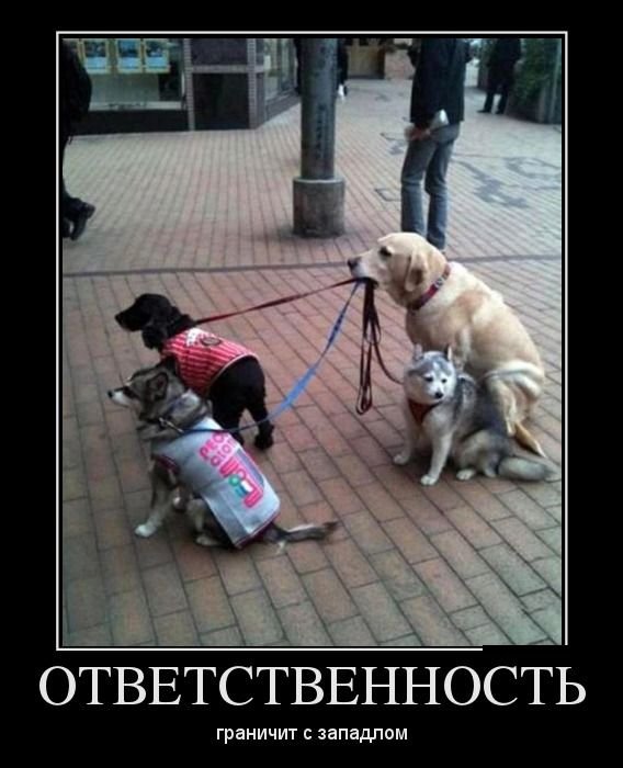 Ответственность