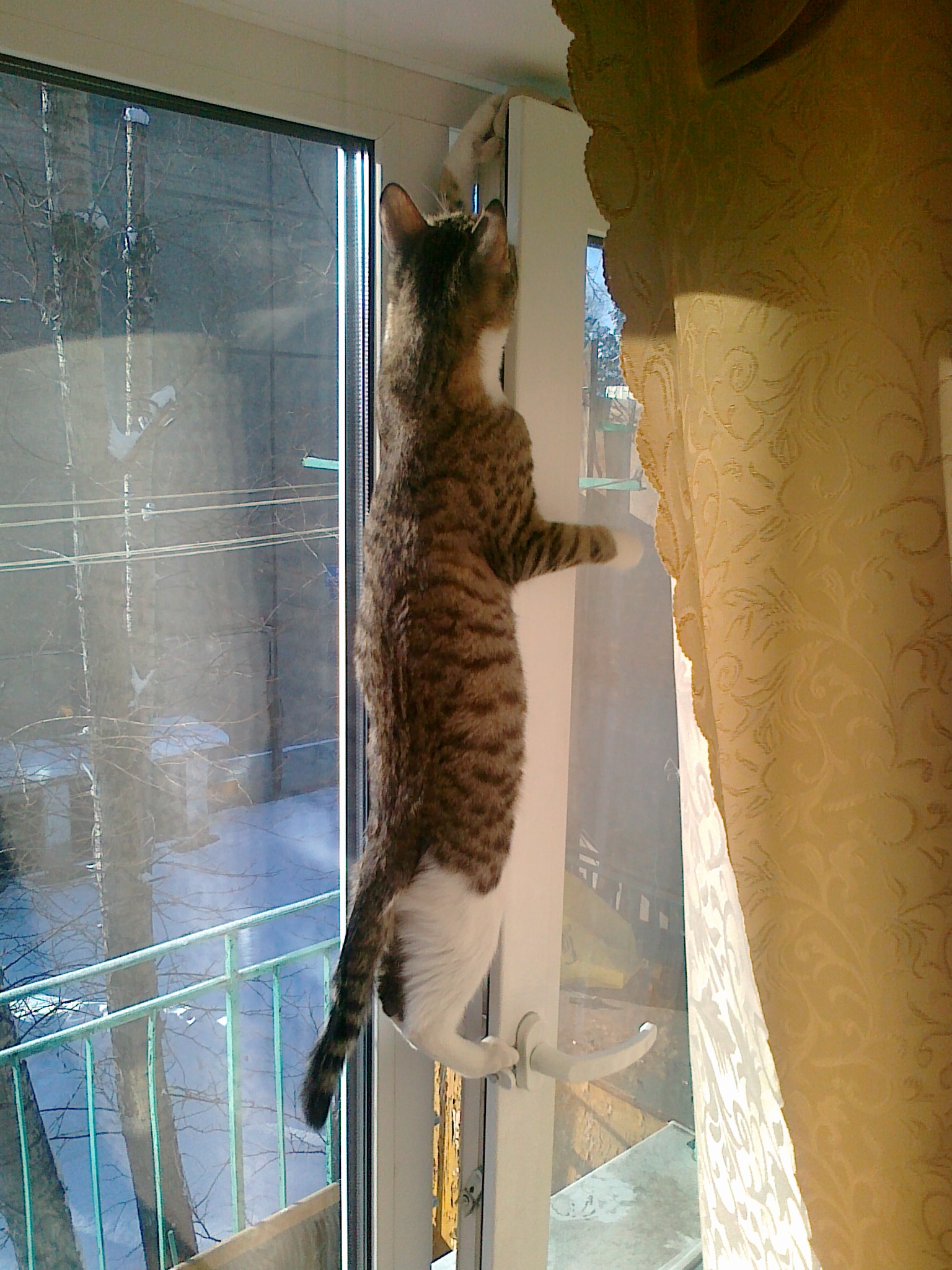 Так мы можем