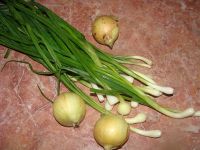 Лук))))