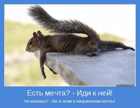 Мечта