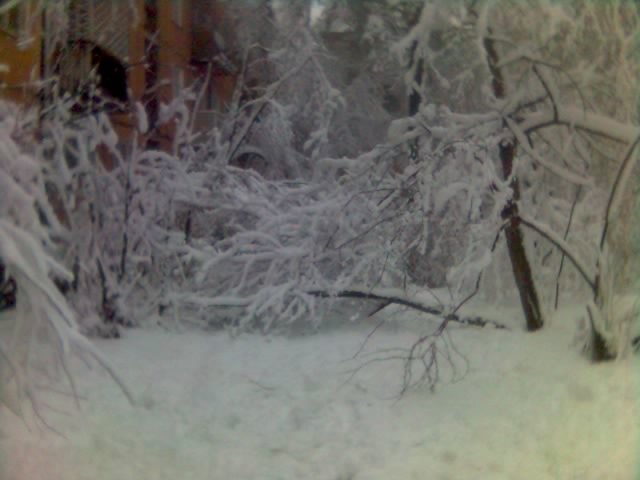 Не проехать, не пройти