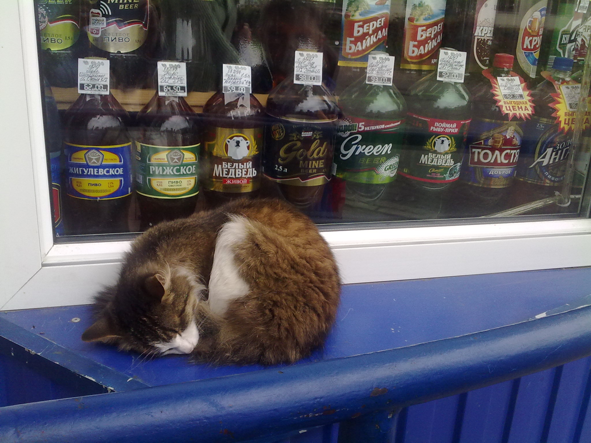 Призаснула