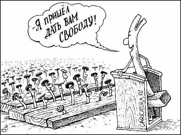 выборы