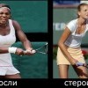 Без названия Без названия