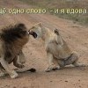 Еще одно слово...