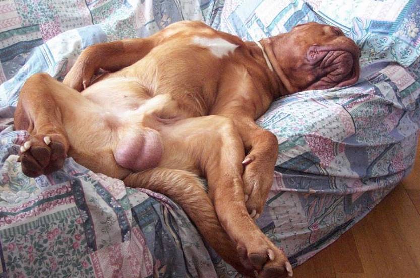 Пока все на работе..