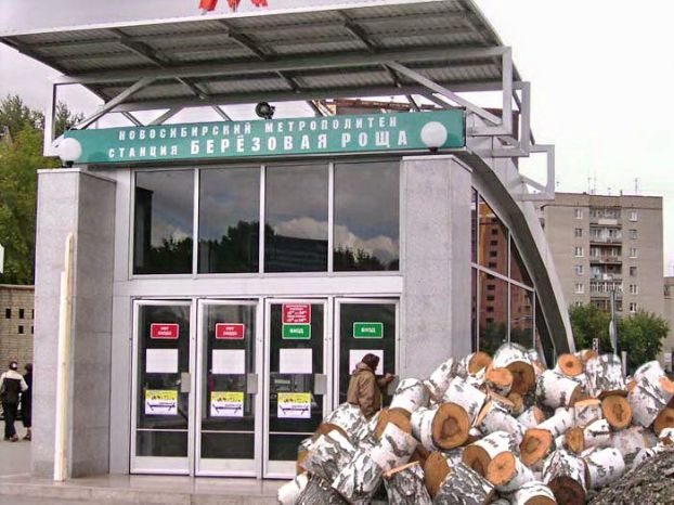 Березовая роща