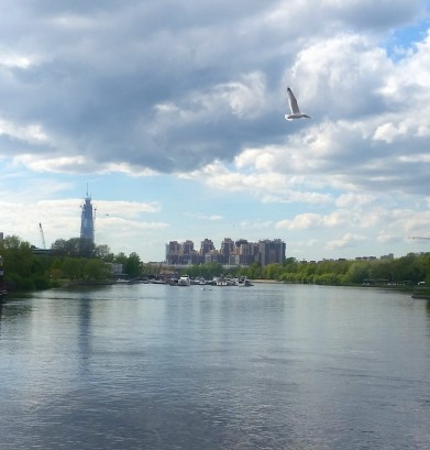 Моё, Санкт-Петербург, город, хорошо