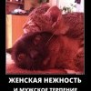 Нежность и терпение Нежность и терпение