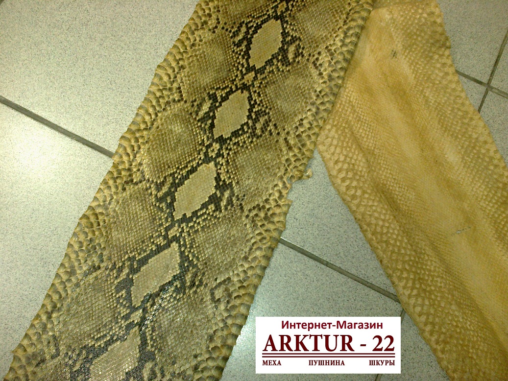 Кожа питона Кожа питона