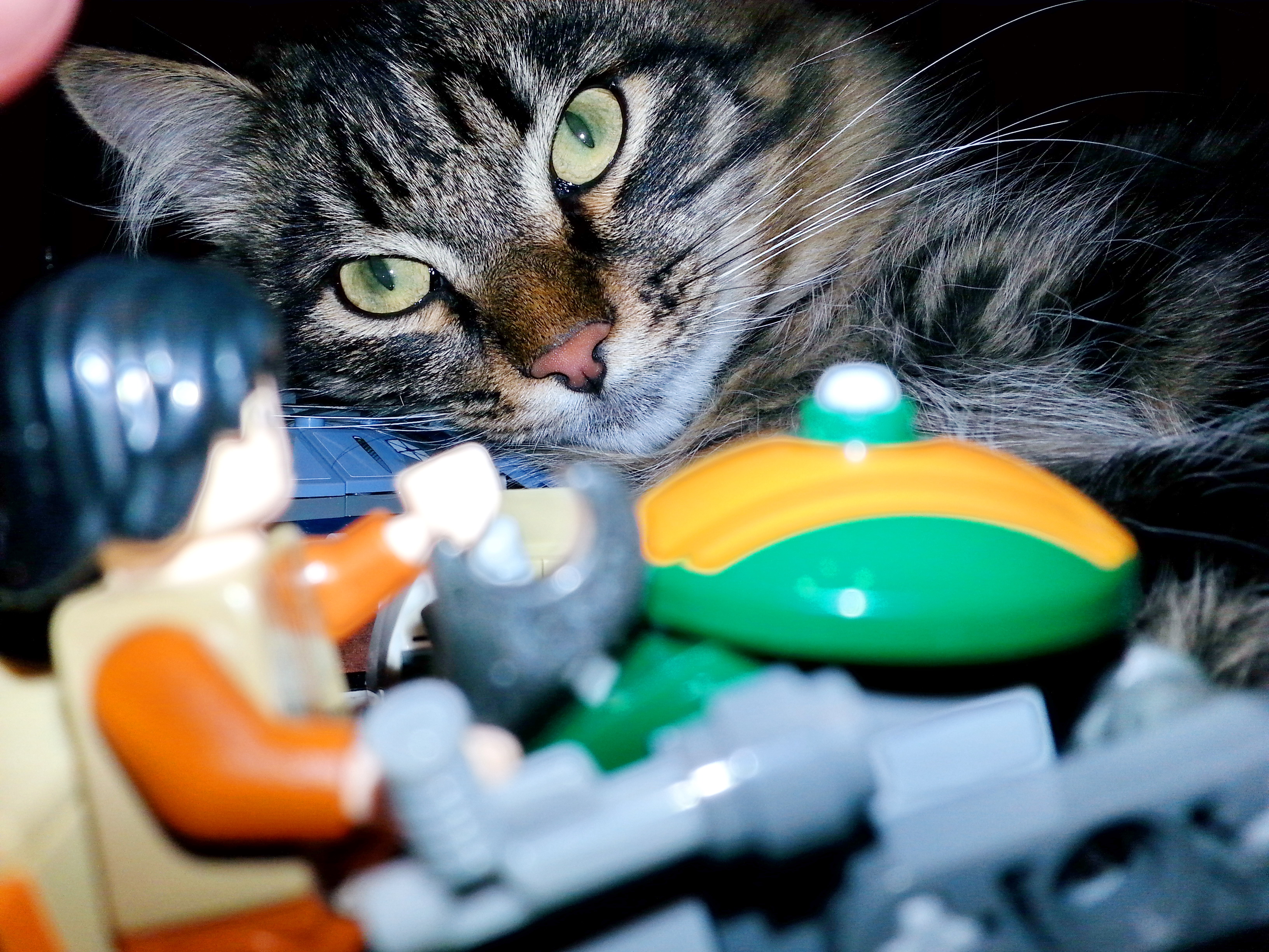 легоПушог)))))