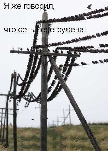 Сеть перегружена