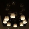 IMG 7068