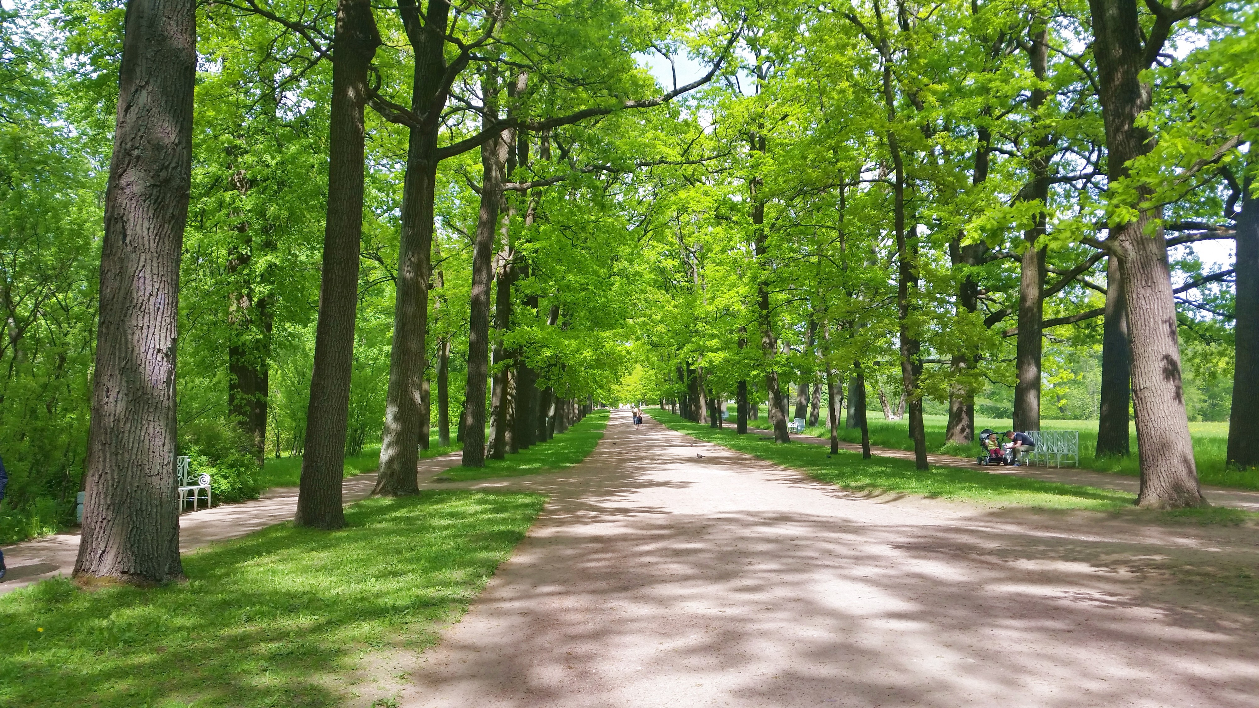 Моё, Санкт-Петербург, город, хорошо, Пушкин