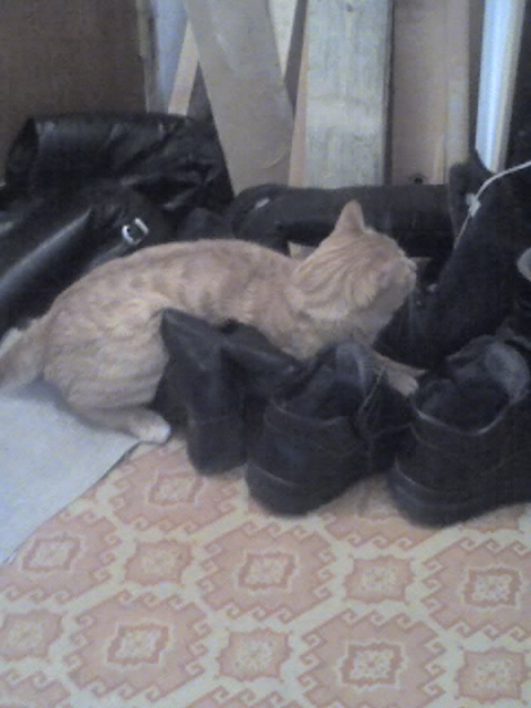 что же выбрать?