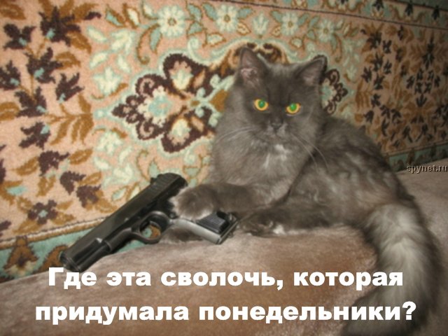 Какая сволоч