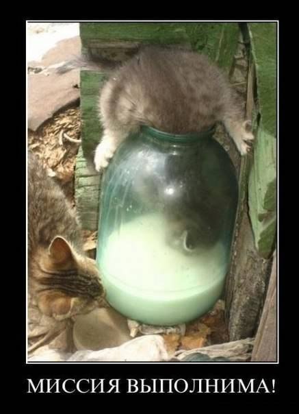 Миссия выполнима