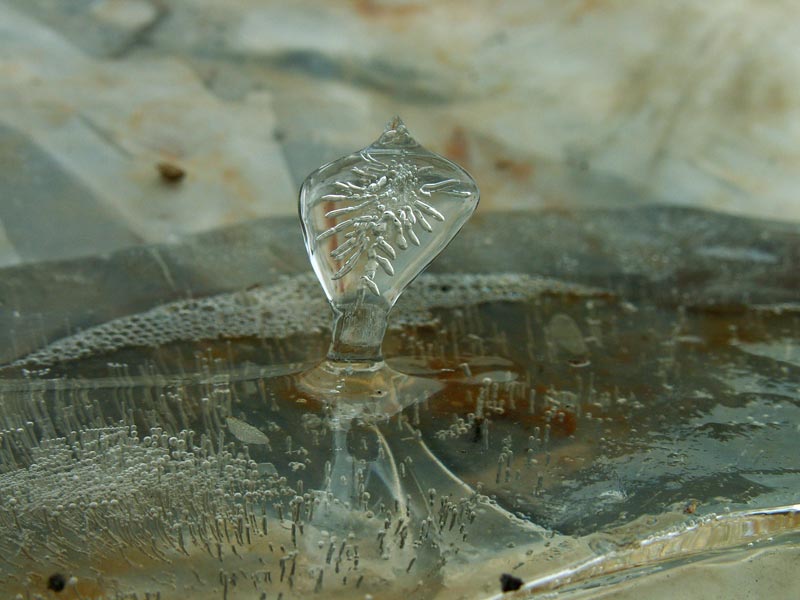 Стойка кобры