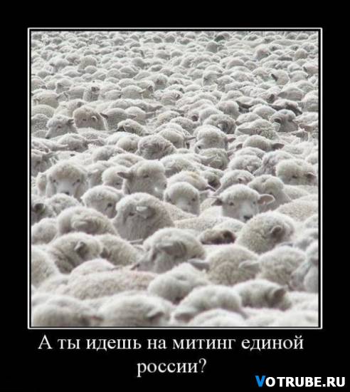 1246652058 -www.votrube.ru15